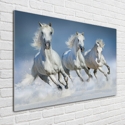 Print on acrylic Horses at gallop