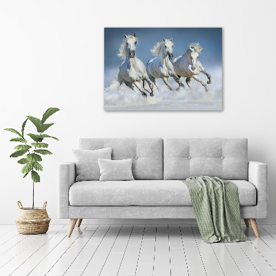 Print on acrylic Horses at gallop