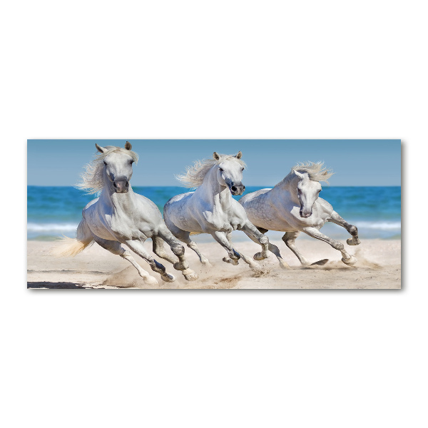 Print on acrylic White horses beach