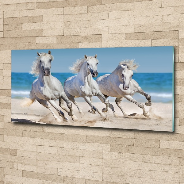 Print on acrylic White horses beach