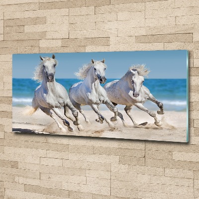 Print on acrylic White horses beach