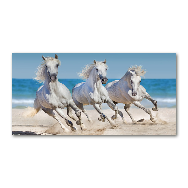 Print on acrylic White horses beach