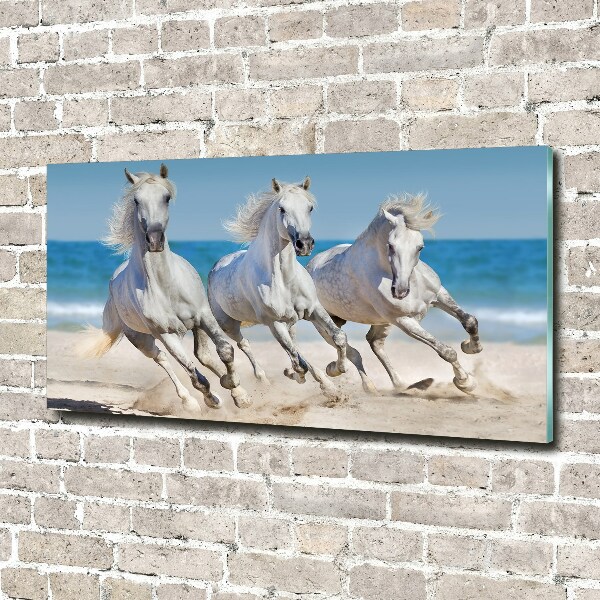 Print on acrylic White horses beach