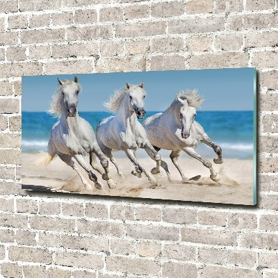 Print on acrylic White horses beach