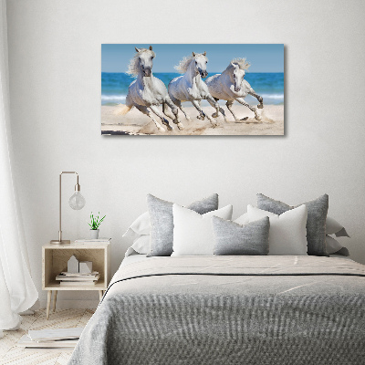 Print on acrylic White horses beach