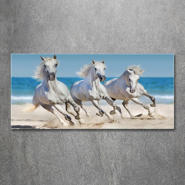 Print on acrylic White horses beach