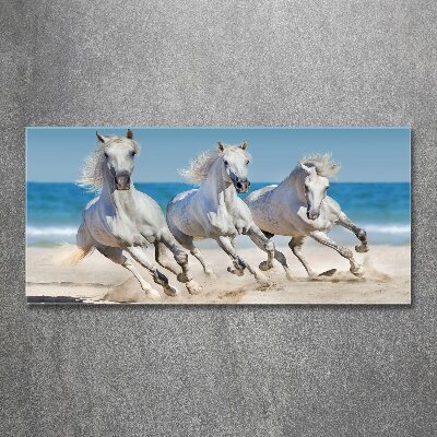 Print on acrylic White horses beach