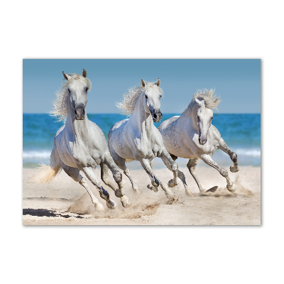 Print on acrylic White horses beach