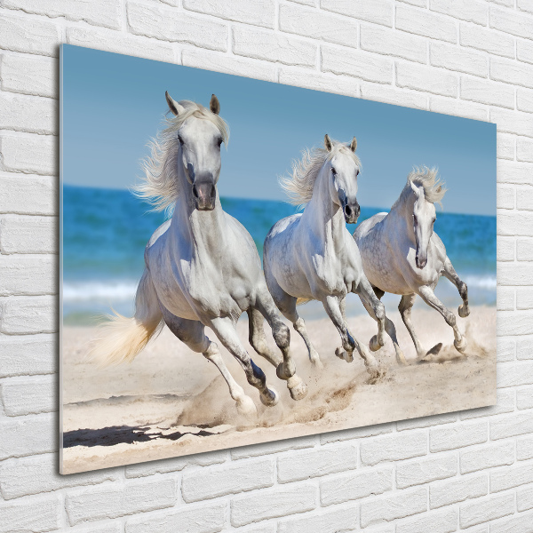 Print on acrylic White horses beach