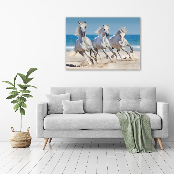 Print on acrylic White horses beach