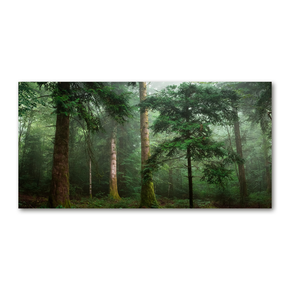 Wall art acrylic Fog in the forest