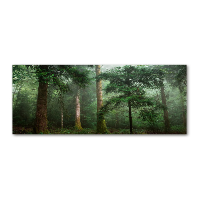 Wall art acrylic Fog in the forest