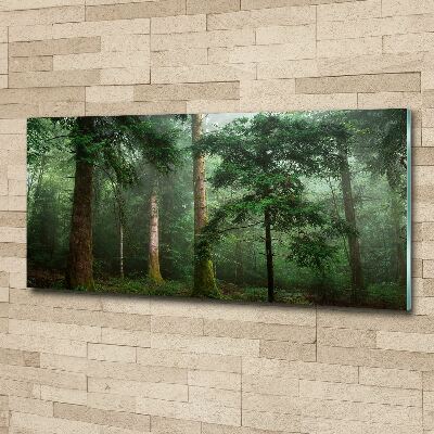 Wall art acrylic Fog in the forest