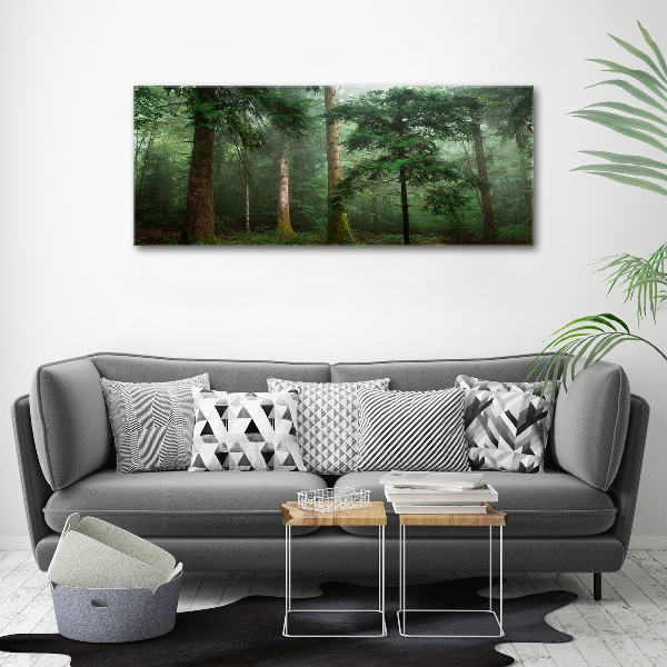 Wall art acrylic Fog in the forest