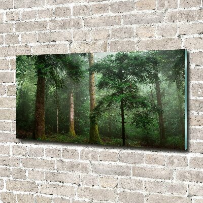 Wall art acrylic Fog in the forest