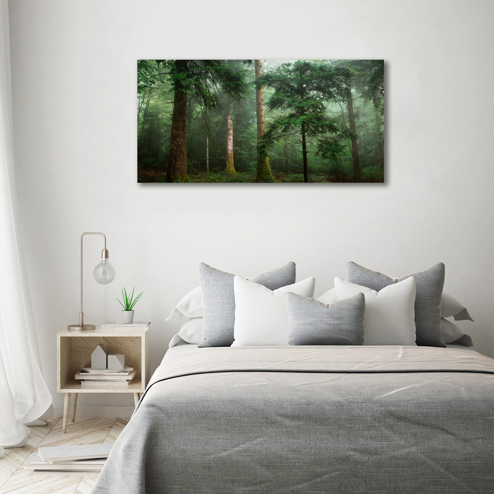 Wall art acrylic Fog in the forest