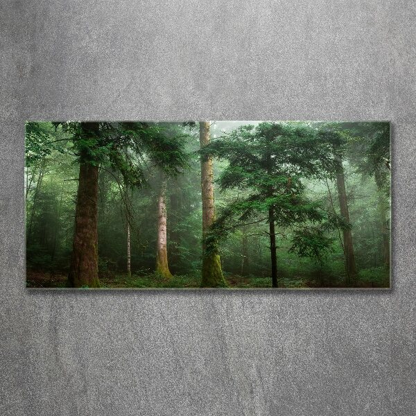 Wall art acrylic Fog in the forest