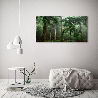 Wall art acrylic Fog in the forest