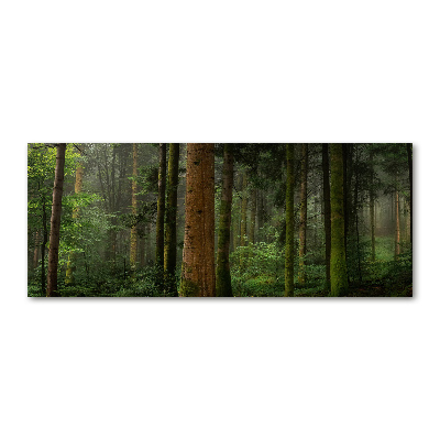 Acrylic wall art Fog in the forest