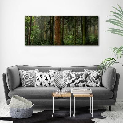 Acrylic wall art Fog in the forest