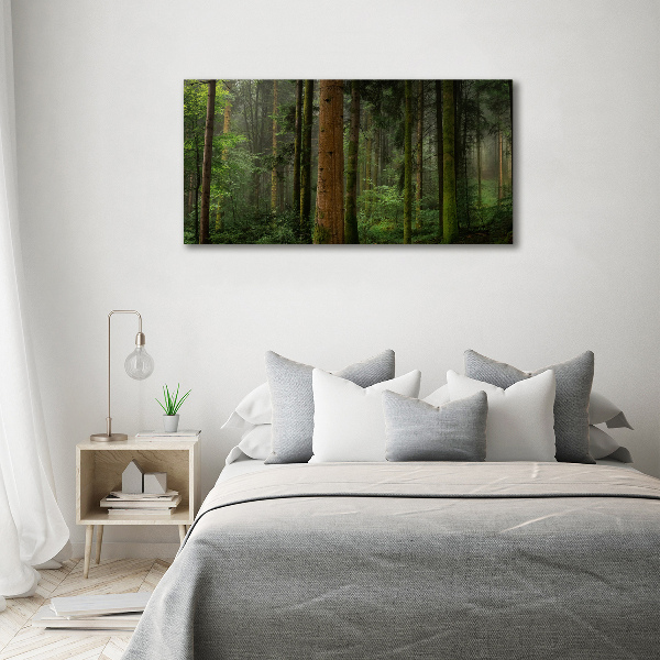 Acrylic wall art Fog in the forest