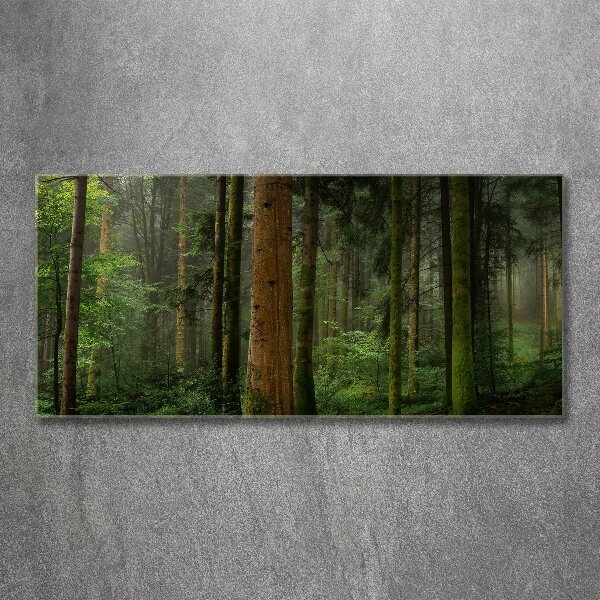 Acrylic wall art Fog in the forest