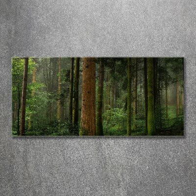 Acrylic wall art Fog in the forest