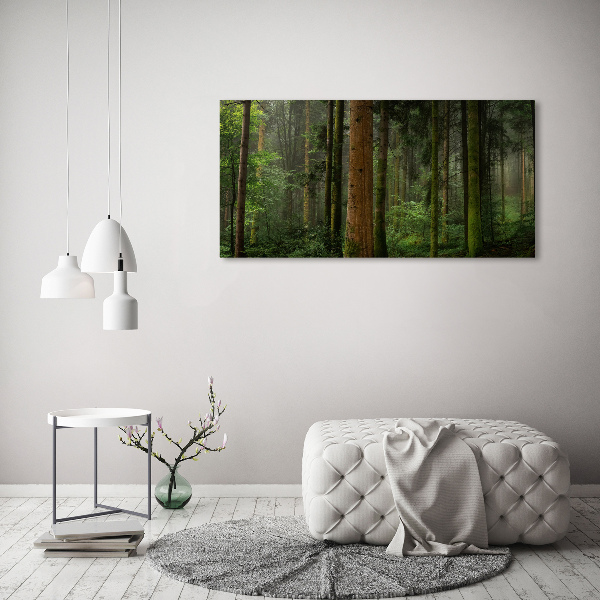 Acrylic wall art Fog in the forest