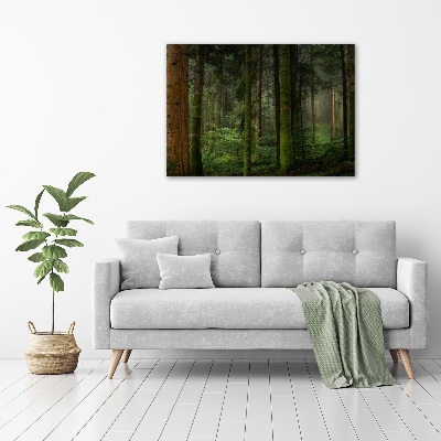 Acrylic wall art Fog in the forest