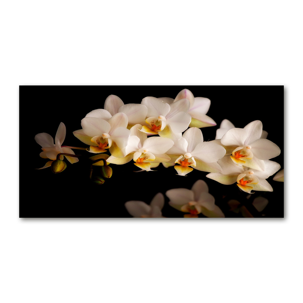 Wall art acrylic Orchid