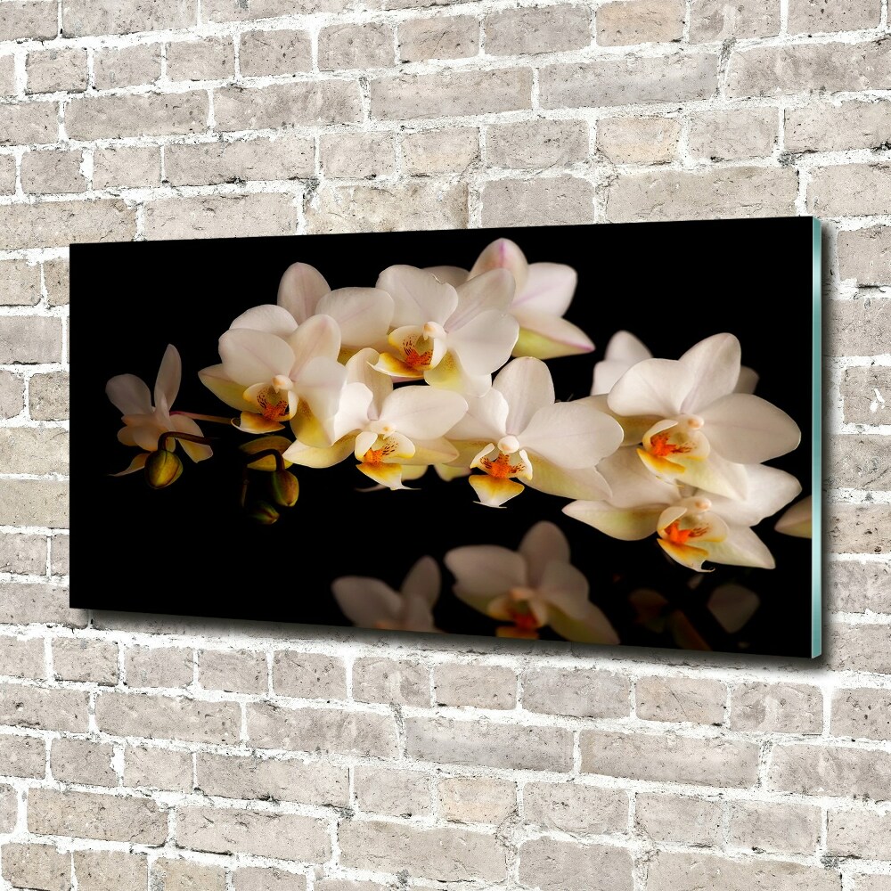 Wall art acrylic Orchid