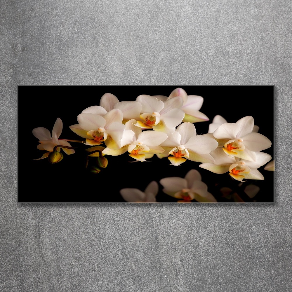 Wall art acrylic Orchid