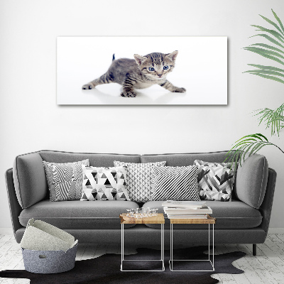 Acrylic wall art Small cat