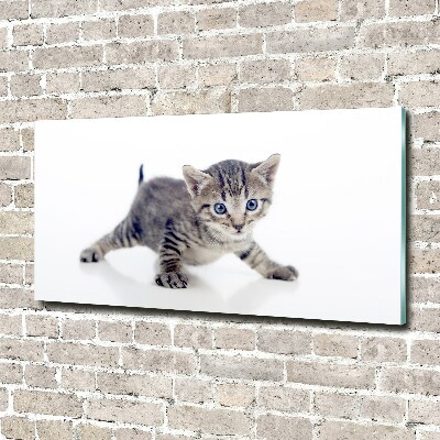 Acrylic wall art Small cat