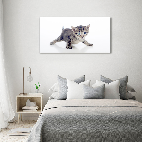 Acrylic wall art Small cat