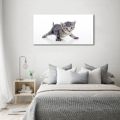 Acrylic wall art Small cat