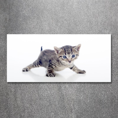 Acrylic wall art Small cat