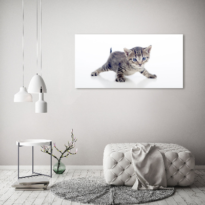 Acrylic wall art Small cat