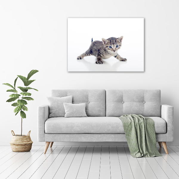 Acrylic wall art Small cat