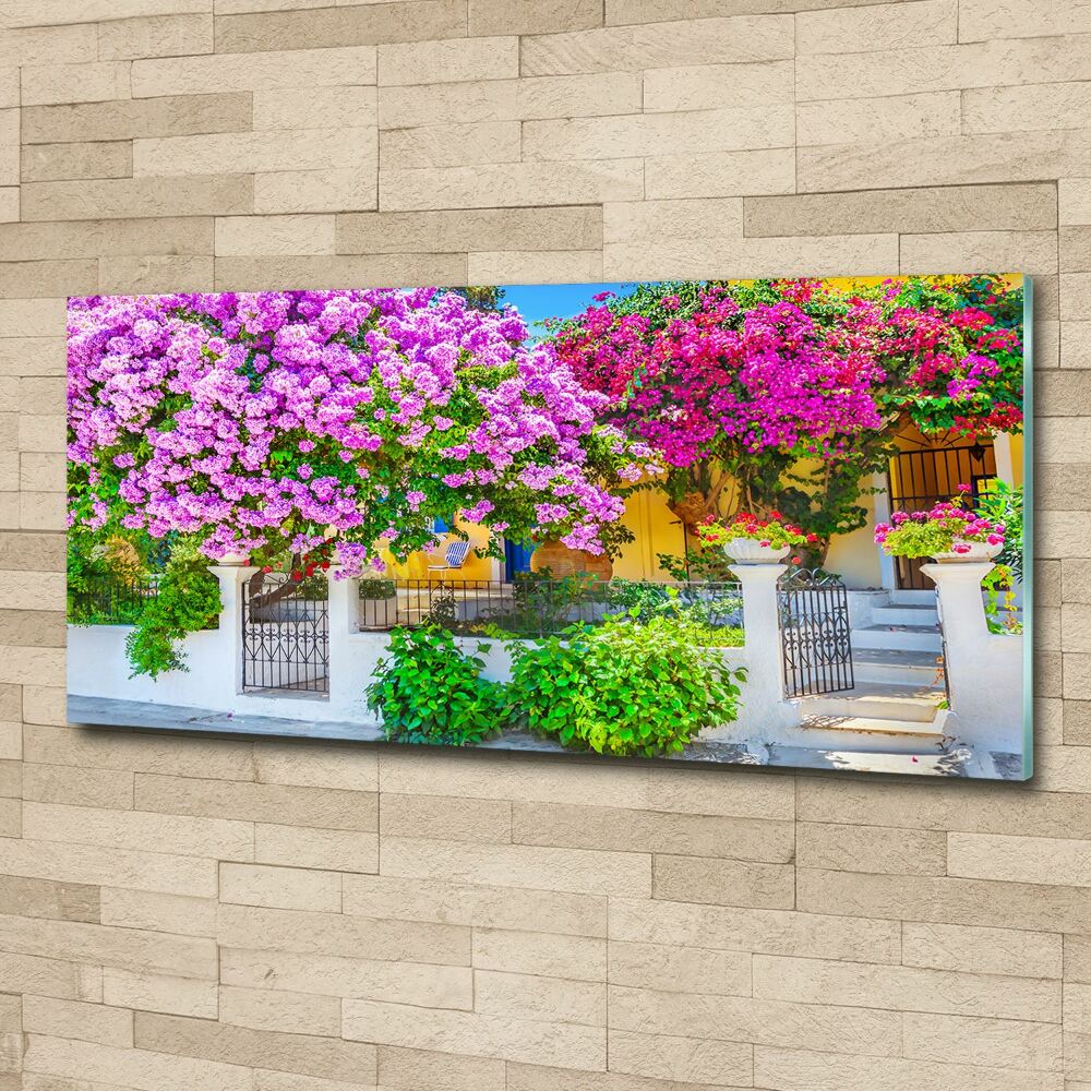 Wall art acrylic House with bougenwilla