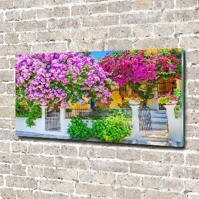 Wall art acrylic House with bougenwilla