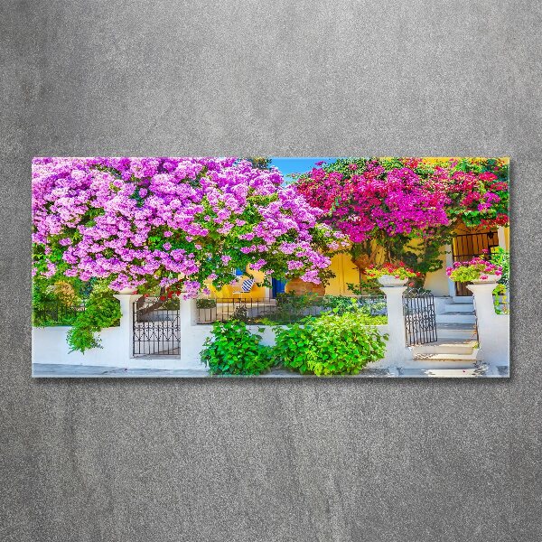 Wall art acrylic House with bougenwilla