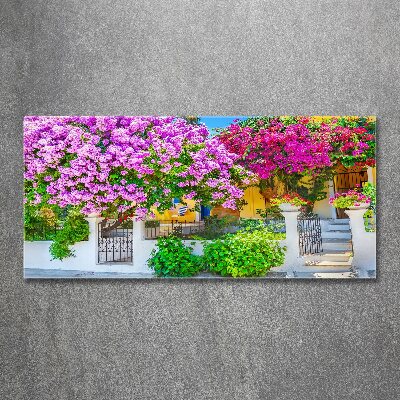 Wall art acrylic House with bougenwilla