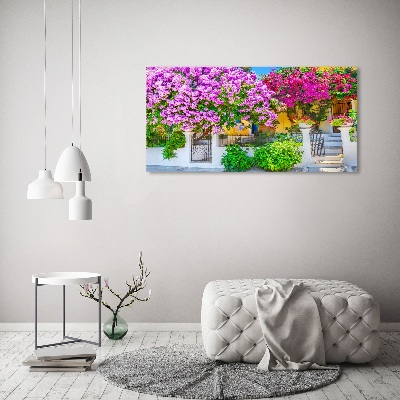 Wall art acrylic House with bougenwilla