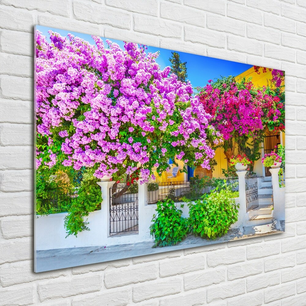 Wall art acrylic House with bougenwilla