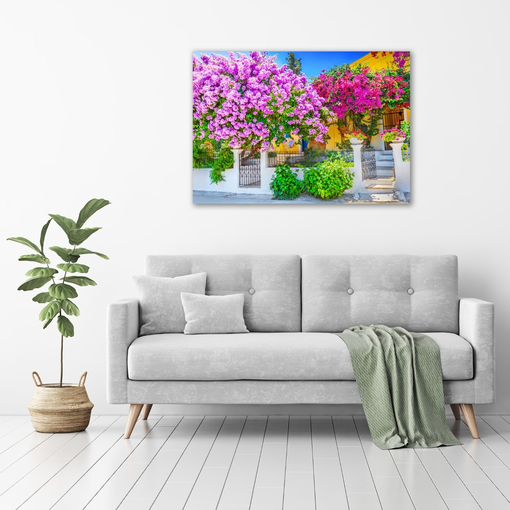 Wall art acrylic House with bougenwilla