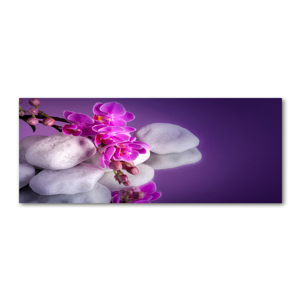 Acrylic wall art Orchid