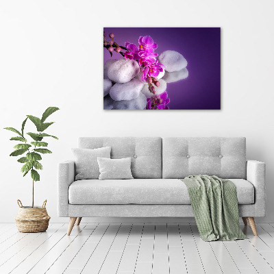 Acrylic wall art Orchid