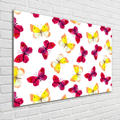 Print on acrylic Butterflies and flowers