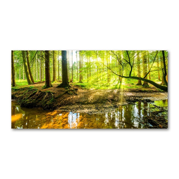 Print on acrylic Pond in the forest